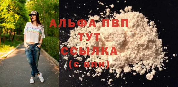 МДПВ Богородск