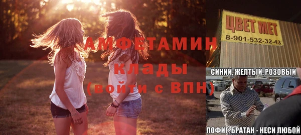 молекула духа Богородицк